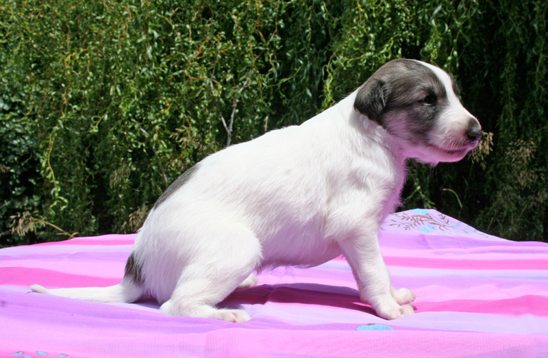 Surf Spots - Girl 2 Sit